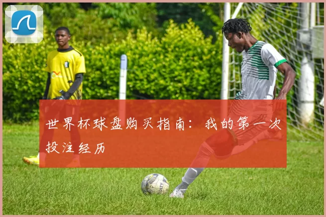 世界杯球盘购买指南：我的第一次投注经历