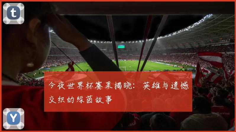 今夜世界杯赛果揭晓：英雄与遗憾交织的绿茵故事