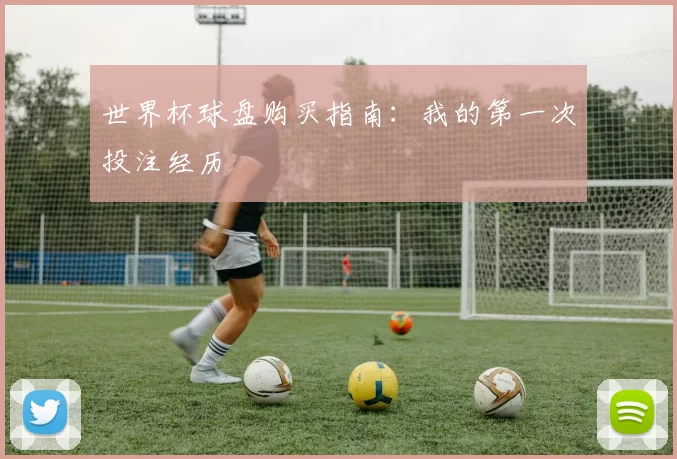 世界杯球盘购买指南:我的第一次投注经历