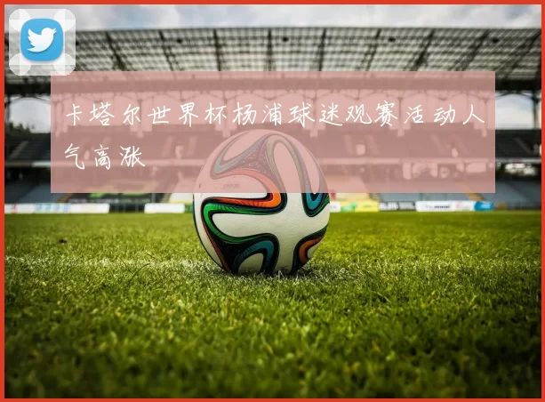 卡塔尔世界杯杨浦球迷观赛活动人气高涨