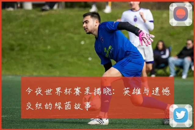 今夜世界杯赛果揭晓：英雄与遗憾交织的绿茵故事