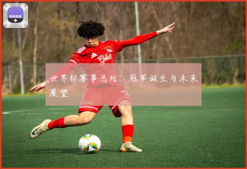世界杯赛事总结：冠军诞生与未来展望