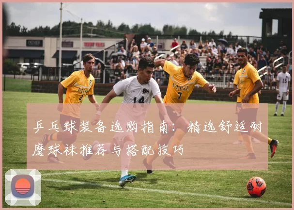 乒乓球装备选购指南：精选舒适耐磨球袜推荐与搭配技巧